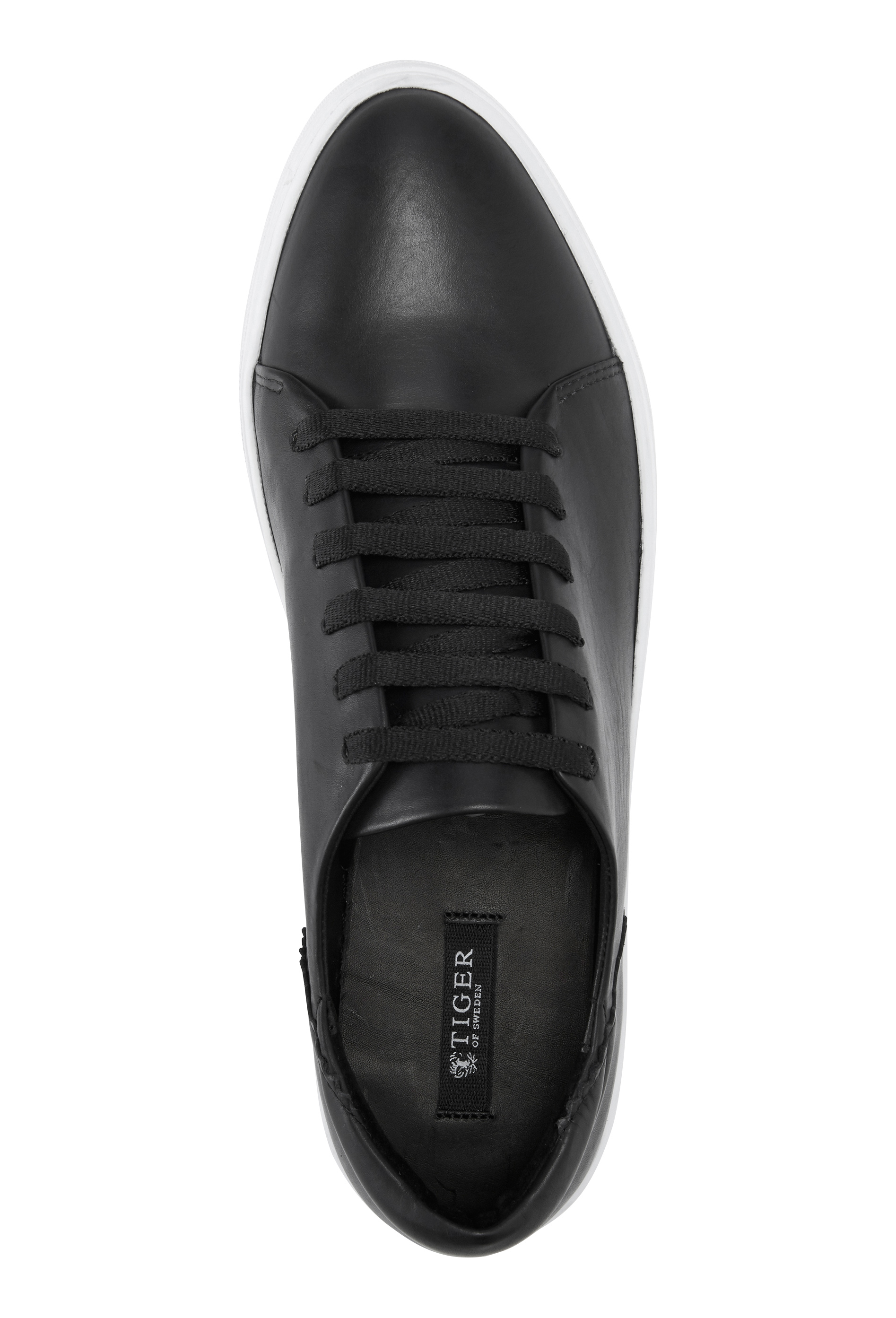 tiger of sweden sneakers